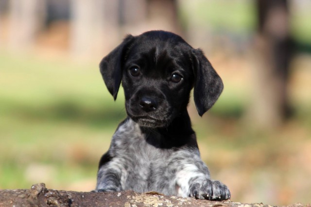 Organization Photo  (60415)