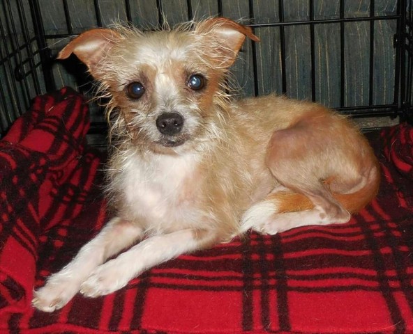 Organization Photo  (71720)