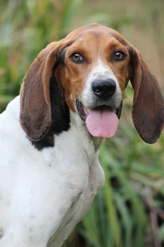 Organization Photo  (71723)