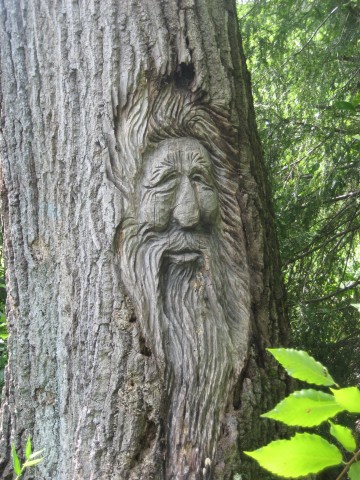 Organization Photo  (81001)