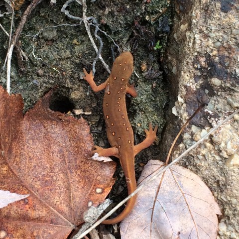 Organization Photo  (80999)