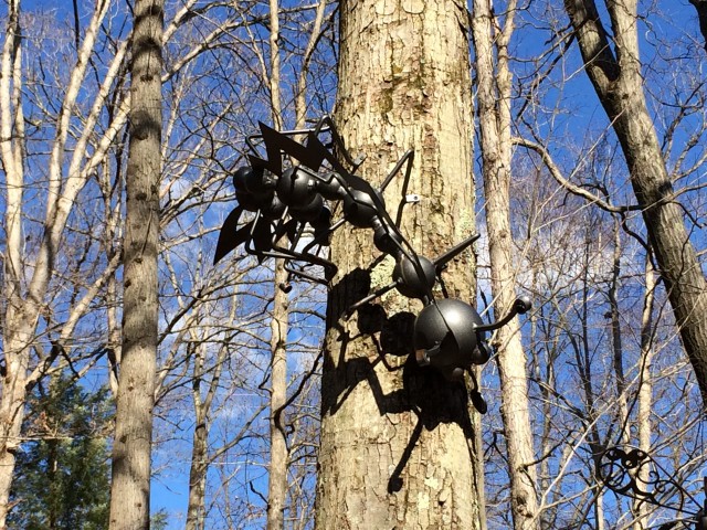 Organization Photo  (81107)