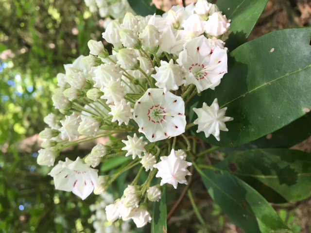 Organization Photo  (86229)