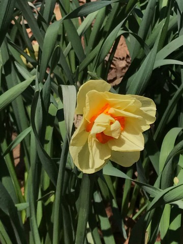 Organization Photo  (86231)