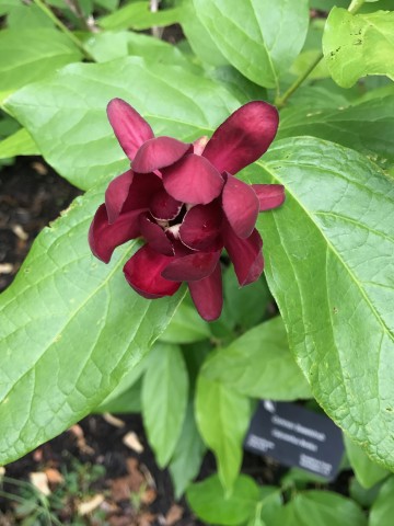 Organization Photo  (86236)