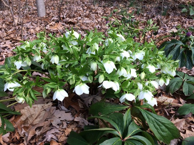 Organization Photo  (81109)