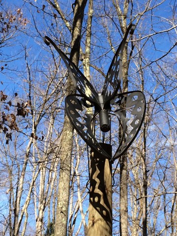 Organization Photo  (81105)