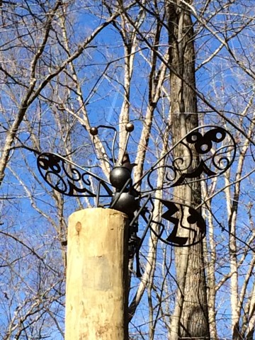 Organization Photo  (81101)