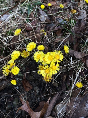 Organization Photo  (86234)