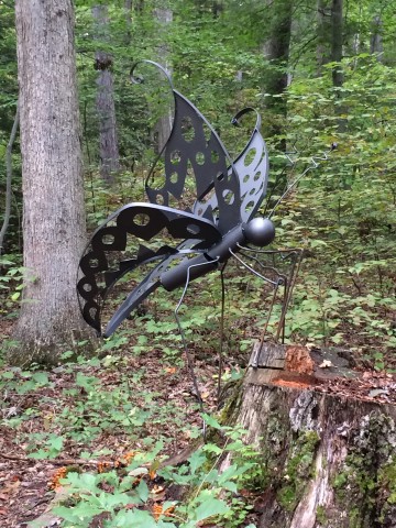 Organization Photo  (81006)