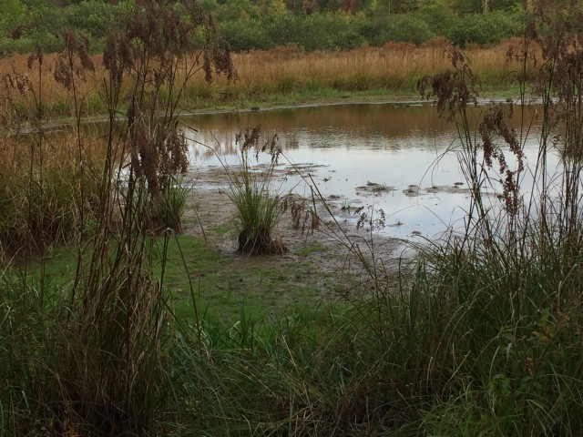 Organization Photo  (80998)