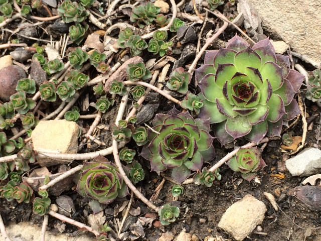 Organization Photo  (116260)