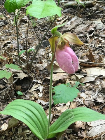 Organization Photo  (86227)