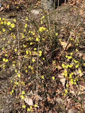 Organization Photo  (81104)