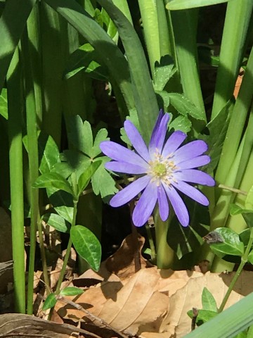 Organization Photo  (86232)