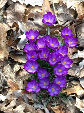 Organization Photo  (116261)