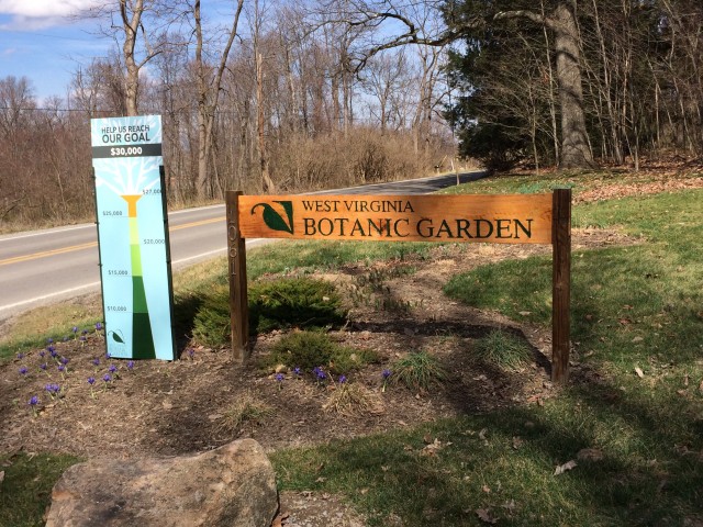 Organization Photo  (81103)