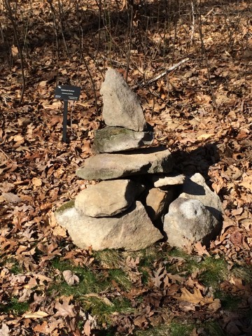 Organization Photo  (81108)