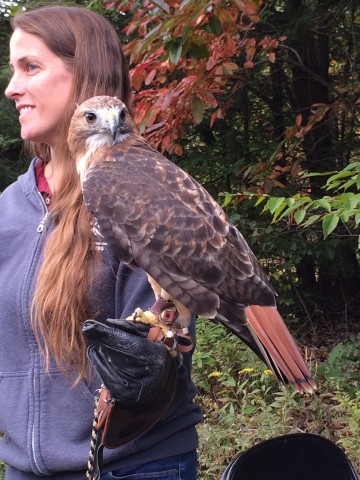 Organization Photo  (81007)