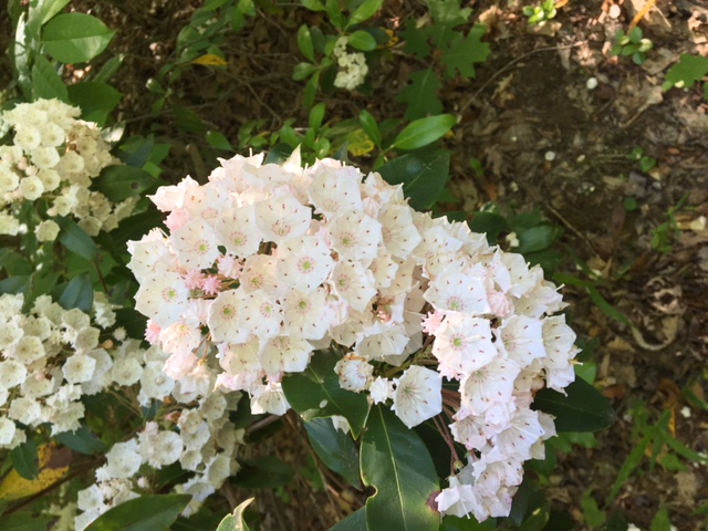 Organization Photo  (86230)