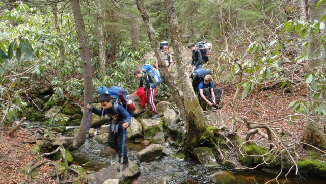 Organization Photo  (82810)