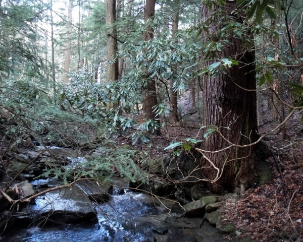 Organization Photo  (60041)