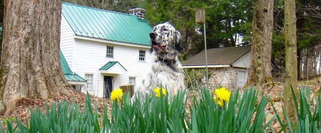 Organization Photo  (60040)