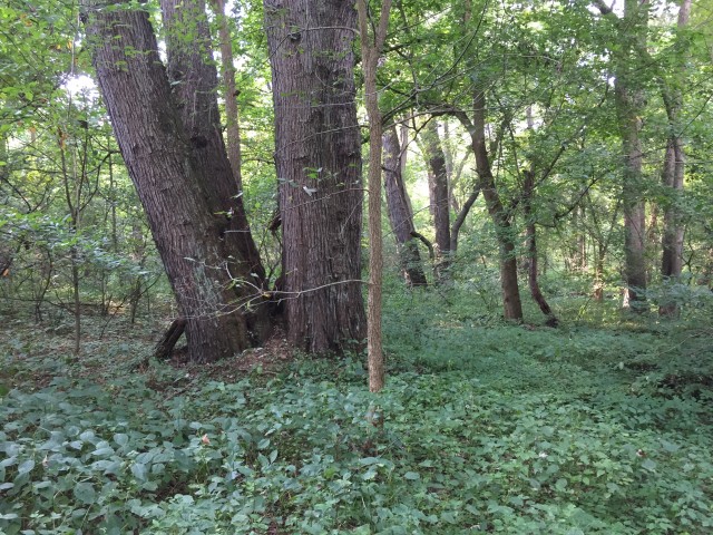 Organization Photo  (60319)