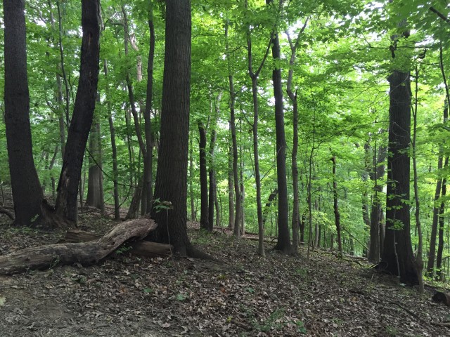 Organization Photo  (60318)