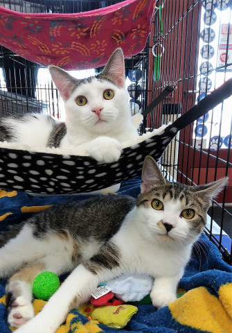 Organization Photo  (134095)