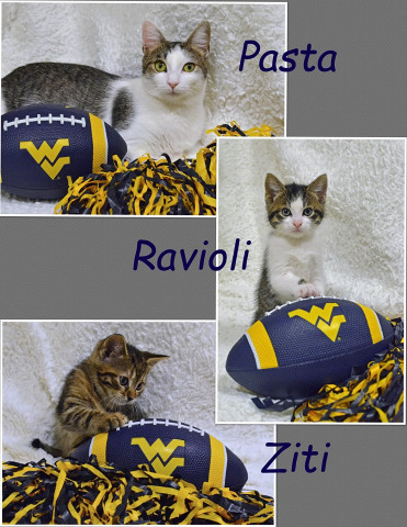 Organization Photo  (134090)