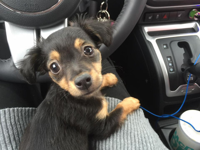 Organization Photo  (134092)