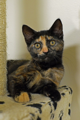 Organization Photo  (134093)