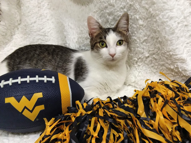 Organization Photo  (134091)