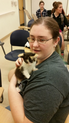 Organization Photo  (134094)