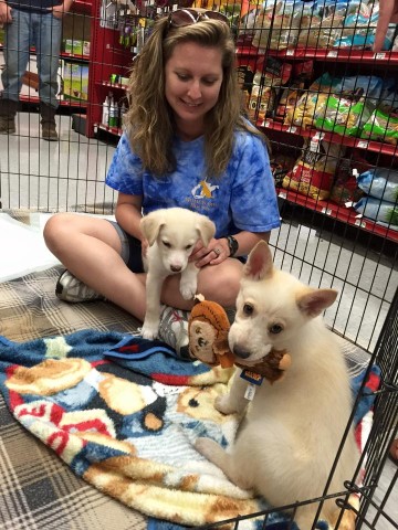 Organization Photo  (60138)