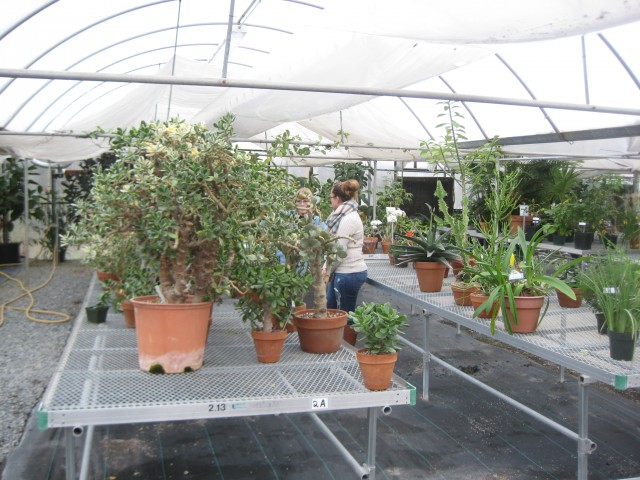 Organization Photo  (101696)