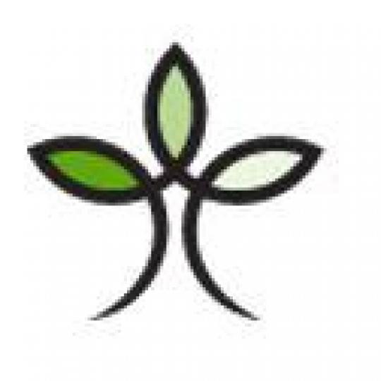 Organization Logo