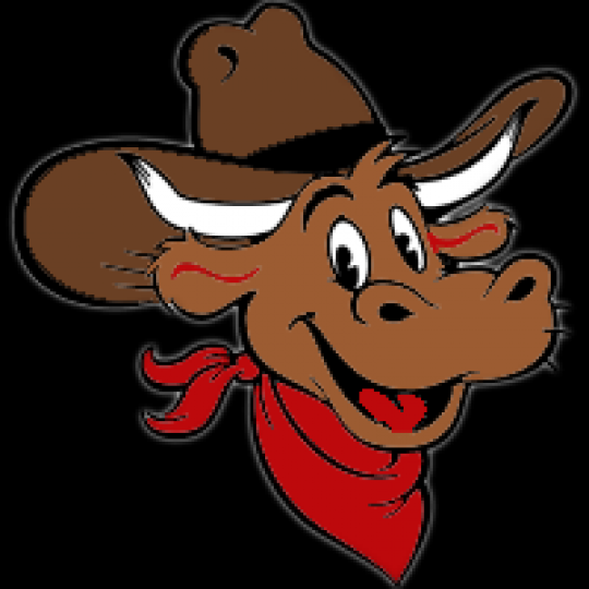 Organization Logo