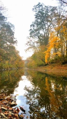 Organization Photo  (74265)