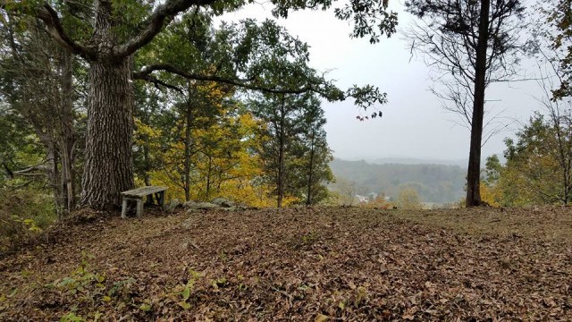 Organization Photo  (74266)