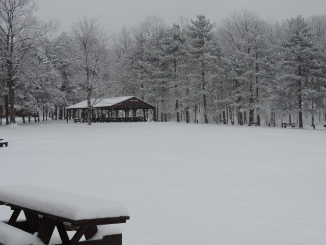 Organization Photo  (137849)