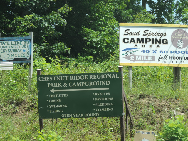 Organization Photo  (137848)