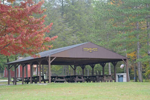 Organization Photo  (137852)