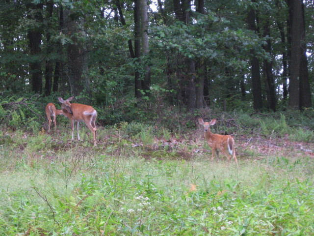 Organization Photo  (137854)