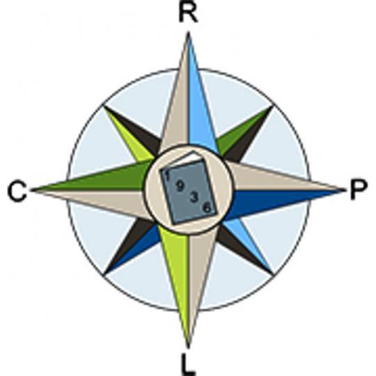 Organization Logo