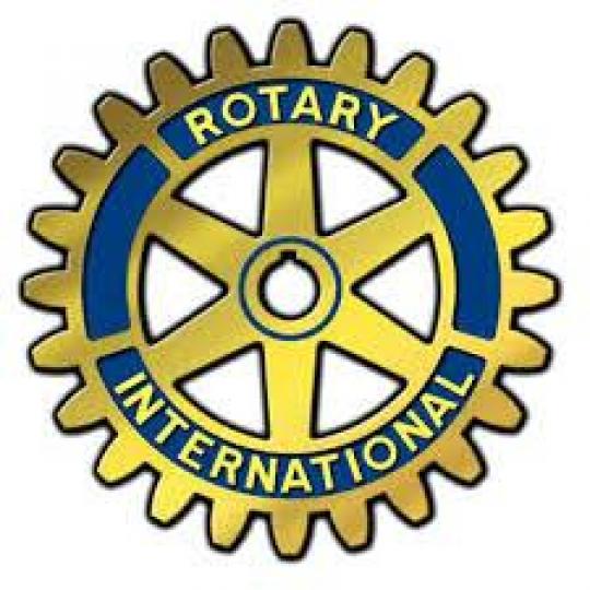 Organization Logo