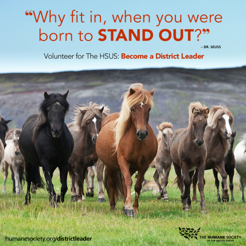 Organization Photo  (119838)