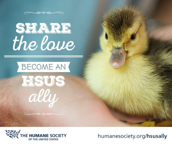 Organization Photo  (119835)