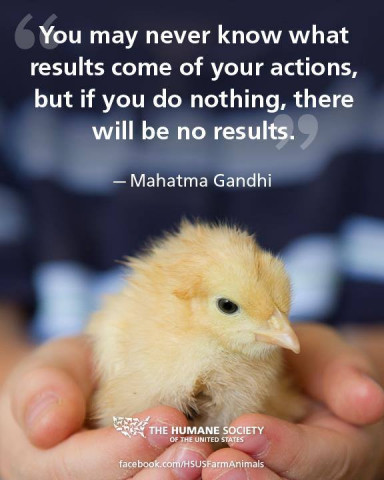 Organization Photo  (119837)